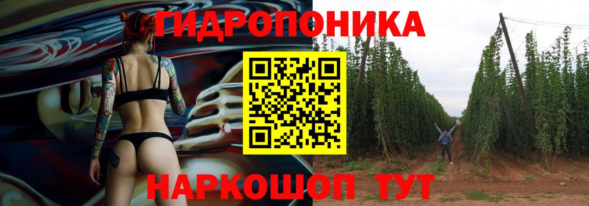Каннабис Amnesia  Вход с VPN  Чайковский  Канабис конопля 